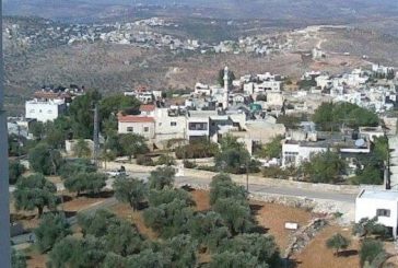 قرار اسرائيلي بإزالة أشجار في قرية كفر مالك شرق رام الله