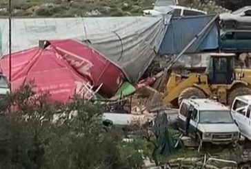 الاحتلال يهدم منشآت ويقتلع عشرات أشجار الزيتون ويجرف أراضي في محافظة الخليل