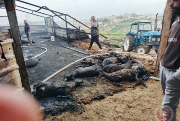 حريق يلتهم مزرعة للأغنام في السموع ويتسبب بنفوق عشرات الأغنام