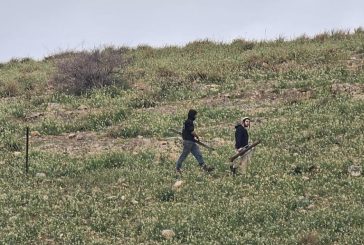 مستوطنون يسيجون أراض في عين الحلوة بالأغوار الشمالية