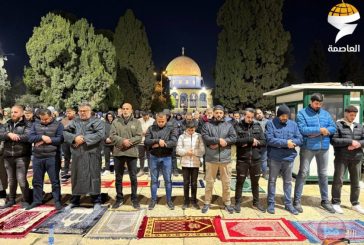 50 ألف مصلٍ يؤدون صلاتي العشاء والتراويح بالأقصى