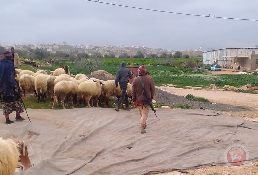 اعتداءات متصاعدة للمستوطنين في مسافر يطا