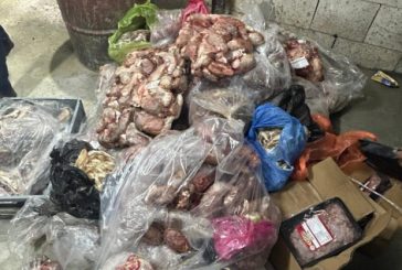 ضبط 377 كيلوغراماً من اللحوم المجمدة غير الصالحة للاستهلاك في الخليل