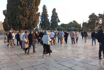 شاهد.. مستوطنون يرقصون ويغنون في باحات الأقصى بأول أيام رمضان
