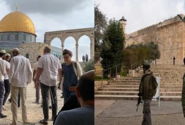 اقتحام الأقصى 28 مرة ومنع رفع الأذان في الإبراهيمي 57 وقتا الشهر الماضي