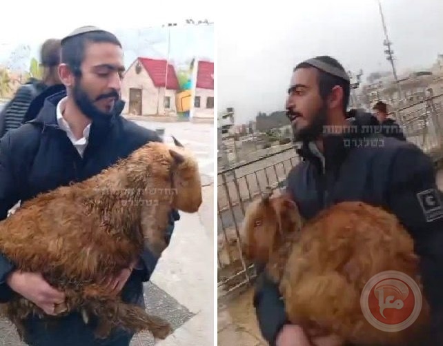 محافظة القدس تحذّر من محاولات المستوطنين إدخال القرابين الحيوانية إلى الأقصى