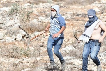 اعتداءات للمستوطنين على مزارعين ورعاة أغنام في مسافر يطا