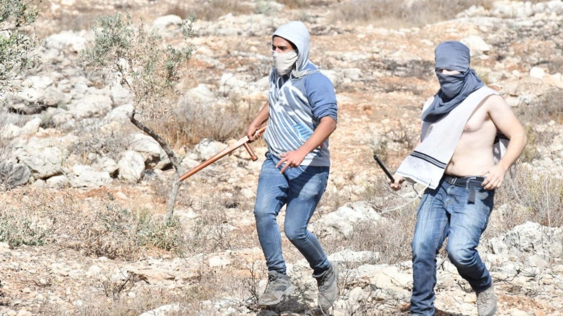 اعتداءات للمستوطنين على مزارعين ورعاة أغنام في مسافر يطا