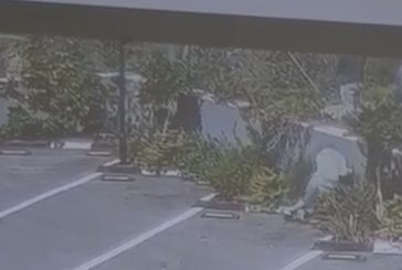 استشهاد حارس منتزه خلال هجوم للمستوطنين شمال رام الله