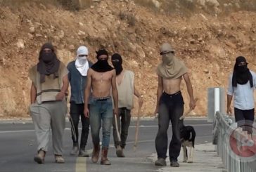 5 إصابات بالرصاص في هجوم للمستوطنين على قريوت جنوب نابلس
