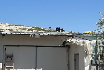 مستوطنون يعتدون على ممتلكات المواطنين في مخماس