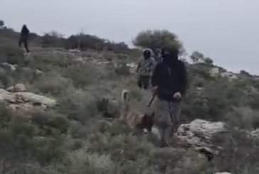 المستوطنون يصيبون إصابة أربعة مواطنين في سلفيت