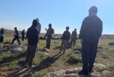 مستوطنون يمنعون رعاة الأغنام من الوصول لمراعيهم في خلة عميرة بمسافر يطا