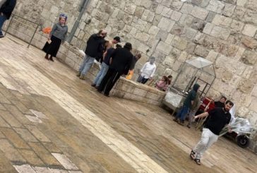 مستوطنون يؤدون طقوسا تلمودية عند باب الساهرة