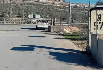 مردا تئن بصمت… حين تُقتلع الجذور وتُغلق الحياة خلف بوابات الاحتلال