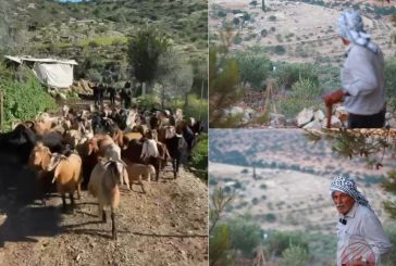 إرهاب المستوطنين يقتلع تجمع عزبة العيون من وادي قانا غرب سلفيت