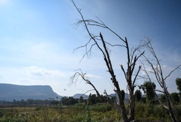 حالة الطقس: أجواء صافية وحارة
