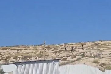مستوطنون يهاجمون مخماس قرب القدس ويتجمعون على جبل العاصور شرق رام الله