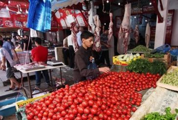 ارتفاع مؤشر أسعار الجملة بنسبة 1.84% خلال الربع الأول 2026