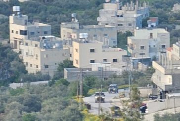 مستوطنون يهاجمون منازل المواطنين في بيتا جنوب نابلس