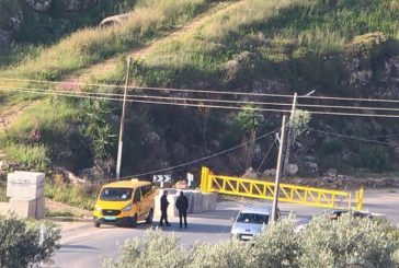 سلفيت.. الاحتلال يعتقل 3 شبان من الزاوية ويغلق مدخلها الرئيسي
