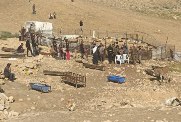 مستوطنون يحاولون سرقة أغنام وجيش الاحتلال يعتدي ويعتقل مواطنين في مسافر يطا