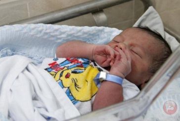 190حالة وفاة و2890 مولودا جديدا بقطاع غزة خلال آذار الماضي