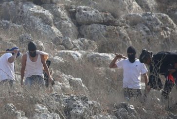إصابة مواطن برصاص مستوطنين في الظاهرية جنوب الخليل