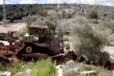الاحتلال يشرع بتجريف واقتلاع أشجار زيتون في ديراستيا غرب سلفيت