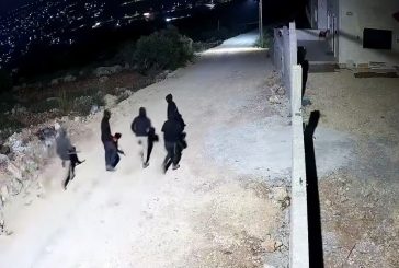 مستوطنون يهاجمون عدة منازل في بيتا جنوب نابلس