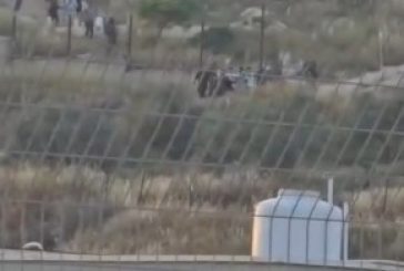 الاحتلال يجبر أهالي قرية العصاعصة جنوب جنين على نقل جثمانه بعد ساعات من دفنه