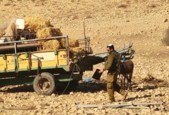 الاحتلال يستولي على معدات زراعية ومركبات في الأغوار الشمالية