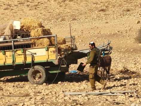 الاحتلال يستولي على معدات زراعية ومركبات في الأغوار الشمالية