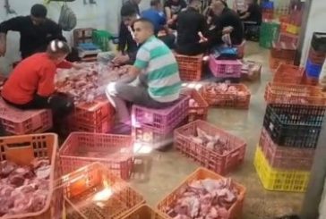 جمعية التضامن الخيرية تبدأ بذبح الاضاحي لتوزيعها على الاسر المحتاجة في محافظة نابلس