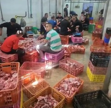 جمعية التضامن الخيرية تبدأ بذبح الاضاحي لتوزيعها على الاسر المحتاجة في محافظة نابلس