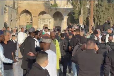 قوات الاحتلال تعتقل سيدة وصحفيا من دائرة الأوقاف في المسجد الأقصى
