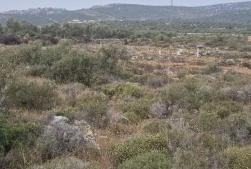مستوطنون يقيمون بؤرة استيطانية شمال غرب سلفيت