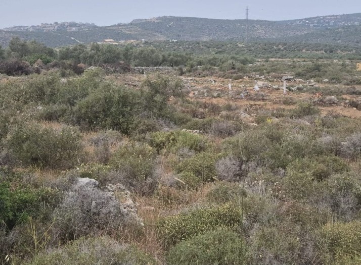 مستوطنون يقيمون بؤرة استيطانية شمال غرب سلفيت