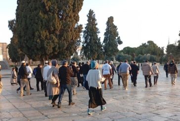 الهباش يحذر من عواقب استمرار انتهاكات المستوطنين لقدسية المسجد الأقصى المبارك