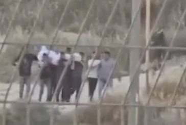 فتوح: نبش الاحتلال قبرا جنوب جنين جريمة حرب وانتهاك لكل القيم الإنسانية