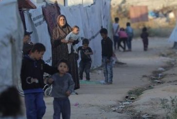 الأونروا: الجرذان تهاجم أطفال غزة أثناء نومهم في الخيام