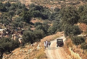 رام الله.. مستوطنون يهاجمون عزبة على أطراف عبوين