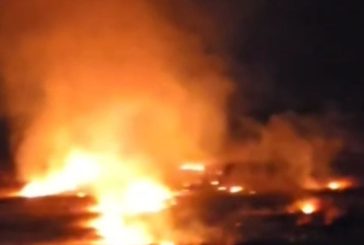 رام الله.. مستوطنون يحرقون أرضا في سهل قرية المغير (فيديو)