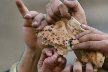 التنمية الاجتماعية تدق ناقوس الخطر: الفقر والنزوح يتفاقمان في فلسطين (فيديو)