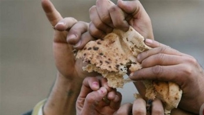 التنمية الاجتماعية تدق ناقوس الخطر: الفقر والنزوح يتفاقمان في فلسطين (فيديو)