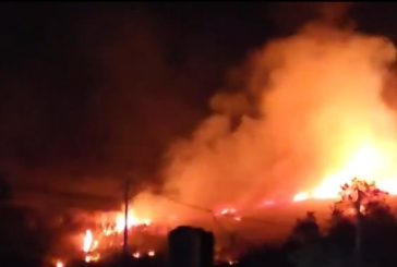 مستوطنون يحرقون أراضي زراعية في قرية المغير