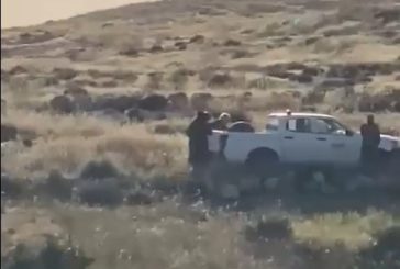 فشل المستوطنون في طرده.. قوات الاحتلال تعتقل مواطنا أثناء رعيه الأغنام في مسافر يطا
