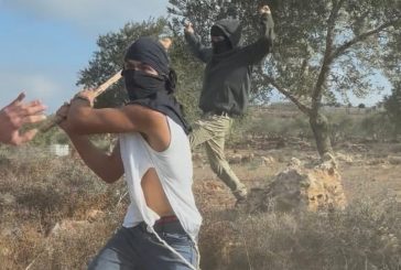 إصابة مواطن بجروح خطيرة خلال هجوم للمستوطنين شمال أريحا