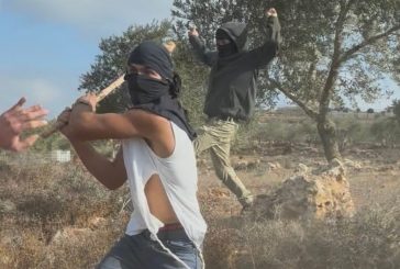 إصابة 4 مواطنين جراء اعتداء المستوطنين عليهم شرق الخليل