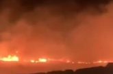 مستعمرون يعتدون على المواطنين ويحرقون أراضي زراعية في المسعودية شمال غرب نابلس